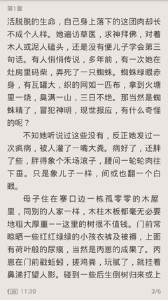 和菲律宾人结婚了就可以直接工作吗